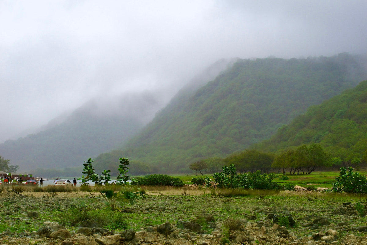 Khareef in Salalah: when to go and what to see