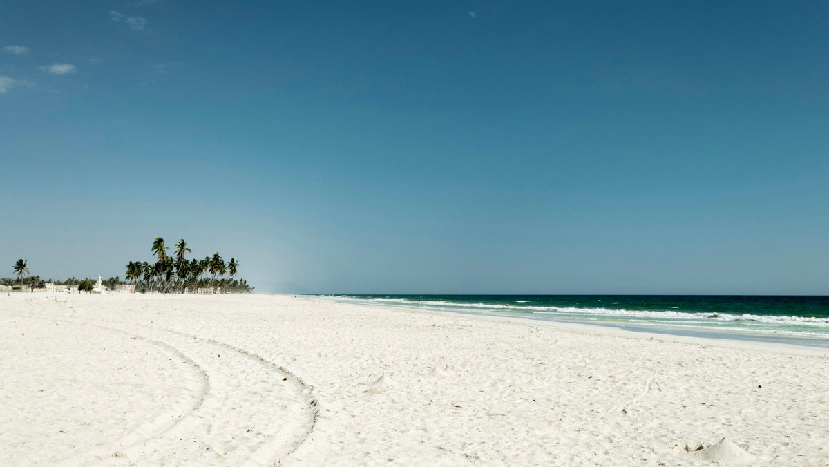 Palm-lined white sand beach in Salalah, Dhofar
