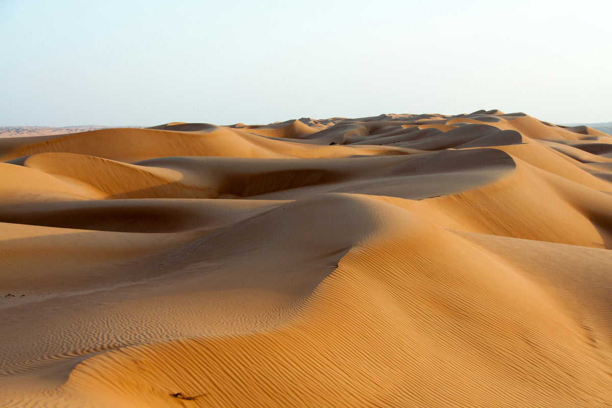 Visiting the Empty Quarter from Salalah
