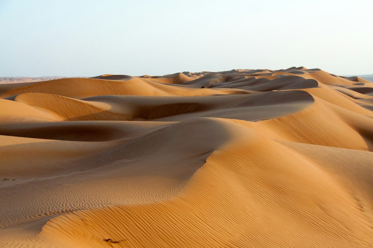 Sand dunes in the Omani desert